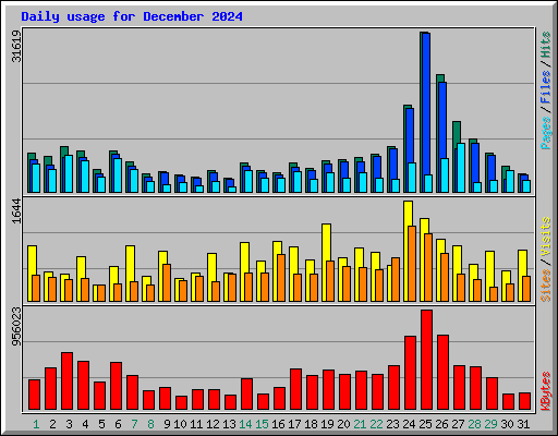 Daily usage for December 2024