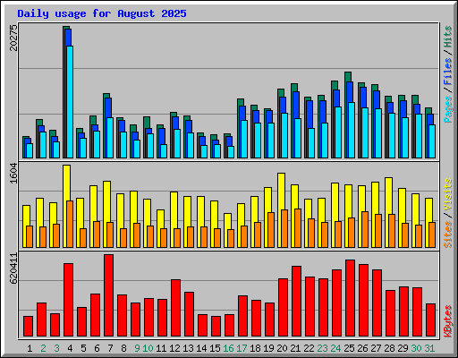Daily usage for August 2025