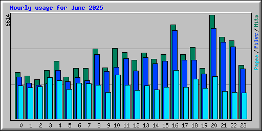 Hourly usage for June 2025