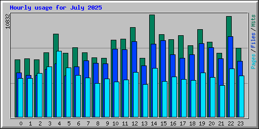 Hourly usage for July 2025