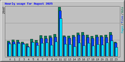 Hourly usage for August 2025