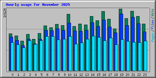 Hourly usage for November 2025