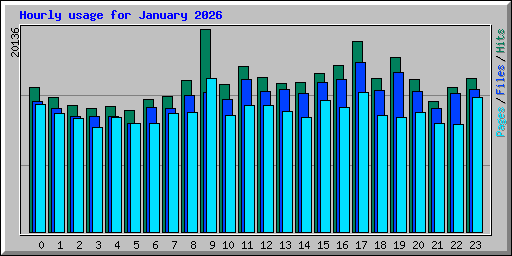 Hourly usage for January 2026