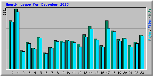 Hourly usage for December 2025